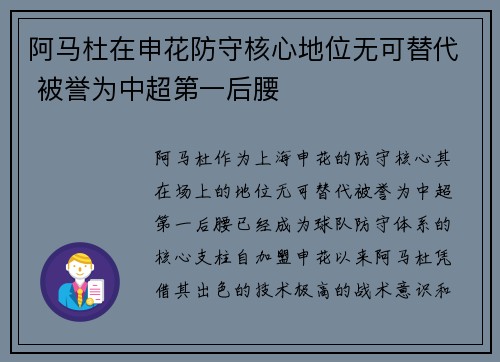 阿马杜在申花防守核心地位无可替代 被誉为中超第一后腰